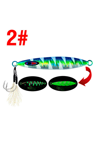 Choice طُعم صيد سريع الغرق، 200 جرام، قطعتان، طُعم صيد طويل، 40-200 جرام، طُع...