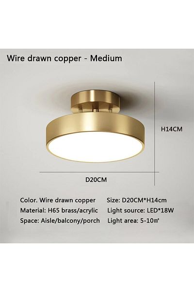 DARHYN Warm White Gold 20cm Modern Led Ceiling Light Copper Lamp For Bedroom Living Room Light Nordic Round
