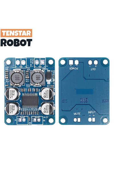 Choice 32Pin Chip Original TPA3118 60W DC 12V-24V Mono Digital Audio Power Amplifier Board Amp Module