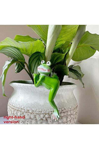 Choice ygxqw-43-2 قطعة واحدة من زينة البستنة في الفناء بونساي الحرف الزخرفية ...