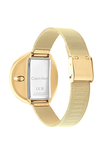 Calvin Klein Ck25200146 Kadın Kol Saati