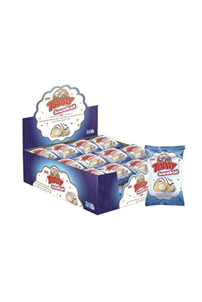 Elvan Today Snowball Sütlü Kek 35 Gr. 24 Adet (1 KUTU)