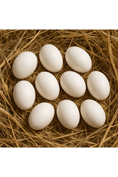 Erbaşlar 10 Adet Plastik Tavuk Yumurtası, Çocuk, Oyuncak, Hobi, Kümes,boyama