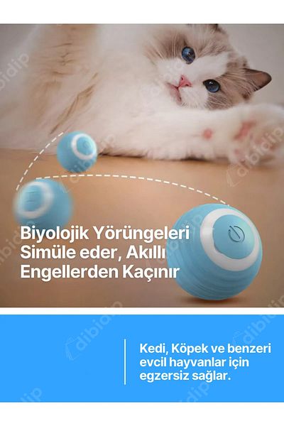 CMT 🐱 Animated Cat Play Ball
