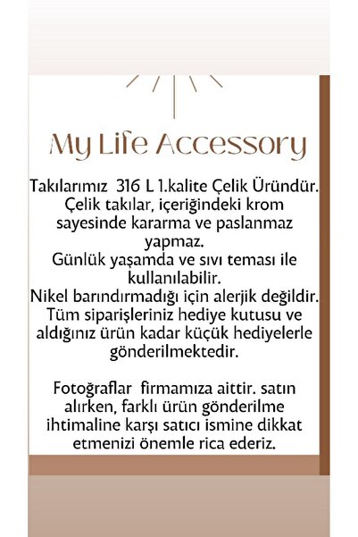 My Life Accessory Steel Earrings Zircon Stone Double Earrings Look