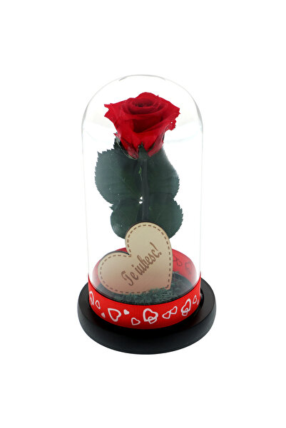 GiftExpress Trandafir criogenat rosu sub cupola cu mesaj Te iubesc