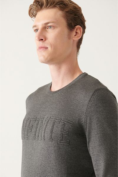 Avva Men's Gray Crew Neck Cotton Knitwear Sweater A22Y5075