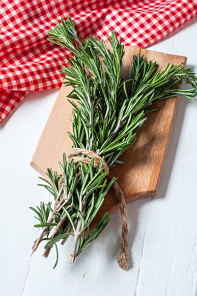 Genel Markalar 40 gram Doğal Taptaze Biberiye Otu 40 Gr. Fresh Rosemary Dalından Evinize Taze