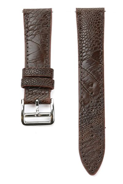 Onywatch 18 mm Leather Watch Band Real Ostrich Skin 18 mm Leather Band 18 mm Watch Strap