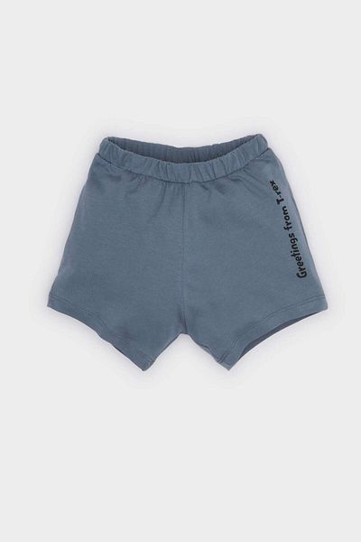 DeFacto 2-teiliges Set für Babys, Jungen, kurzärmliges T-Shirt mit Dinosaurier-Aufdruck und Shorts mit elastischem Bund E1152a525sm