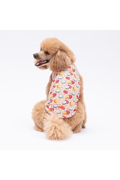 Pawstar Love Macarons Kedi Köpek Tişörtü - Kedi Köpek Kıyafeti