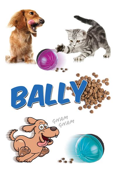 Bally Multi-colored cat and dog treat and play ball