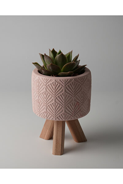 Kaju Creative Dekoratif Beton Saksı - Yaprak - Ahşap Ayaklı