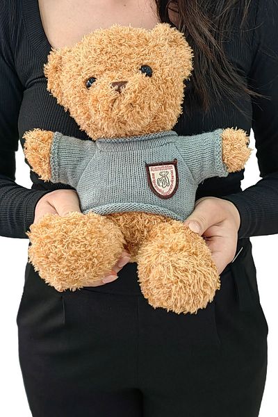 Chavin 30 cm Brown Gift Plush Teddy Bear Bear-02