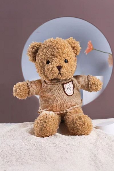 Chavin 30 cm Brown Gift Plush Teddy Bear Bear-03