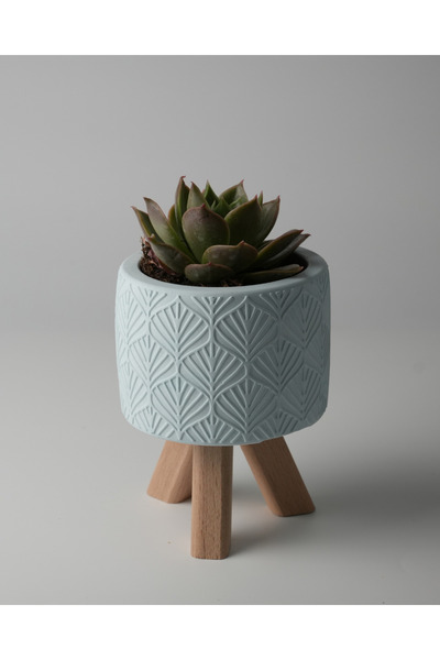 Kaju Creative Dekoratif Beton Saksı - Yaprak - Mavi