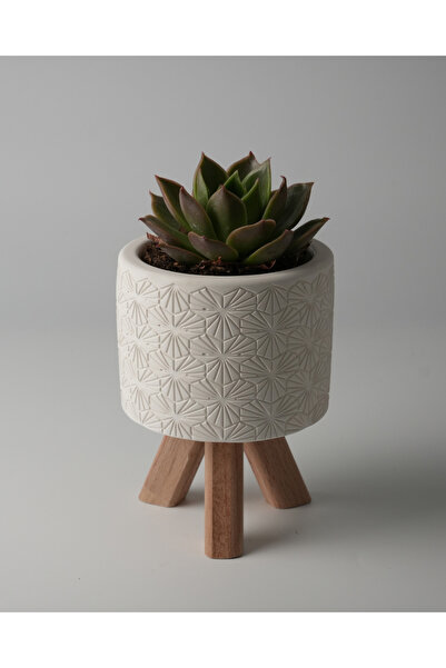 Kaju Creative Dekoratif Beton Saksı - Karo Çizgi - Beyaz