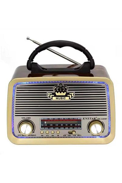 Denx راديو FM - AM - SW ذهبي/بني/أسود، صوت محمول بتقنية البلوتوث، بطاقة TF، قرص فلاش USB، تشغيل AUX