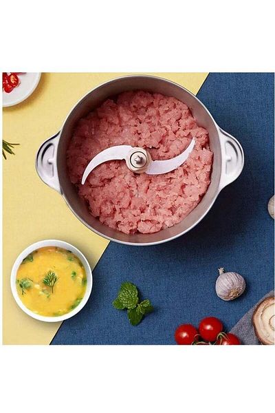 COOYA 2L electric meat grinder, stainless steel, removable, two-speed adjustment, easy to clean, white