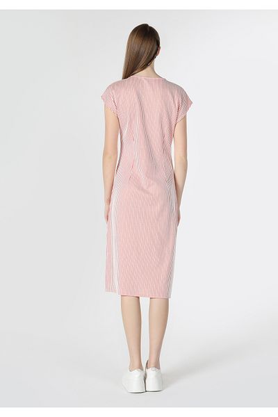 Colin's Regular Fit Striped Women's Red Short Sleeve Dress