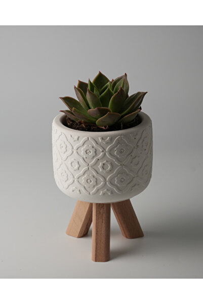 Kaju Creative Dekoratif Beton Saksı - Otantik Çiçek - Beyaz