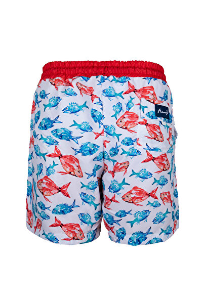 ANEMOSS Aquarium Men's Sea Shorts