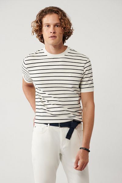Avva Men's White Crew Neck Striped Cotton T-Shirt A41Y1066