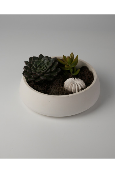 Kaju Creative Dekoratif Beton Kase - Amorf 5x19 1L- Sukulent - Mini Kaktüs - Bonsai - Aranjman Kasesi