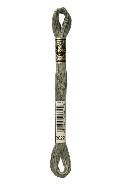 Dmc MULİNE İPLİK 3022