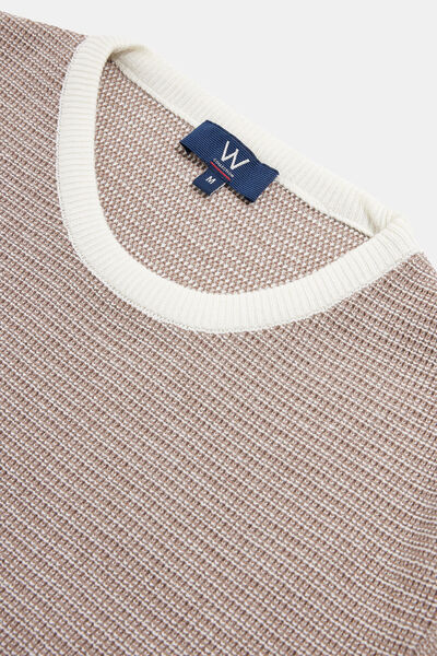 W Collection Dark Beige Crew Neck Long Sleeve Sweater