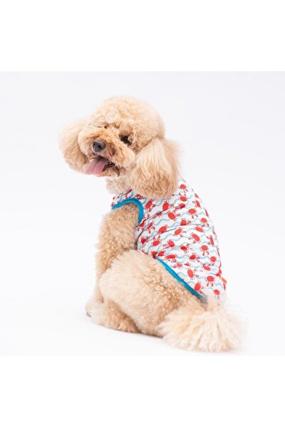 Pawstar Fun Crabs Kedi Köpek Tişörtü - Kedi Köpek Kıyafeti