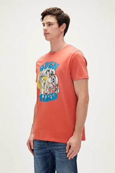 Bad Bear Open Mind T-shirt Ginger Cinnamon Printed Men's T-Shirt
