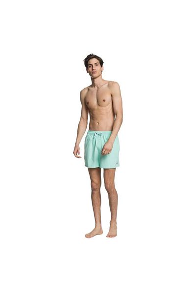 Quiksilver Ανδρικό αθλητικό σορτς Stone