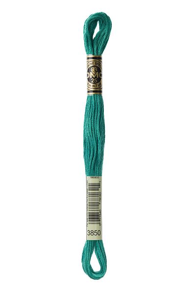 Dmc Muline Thread 3850