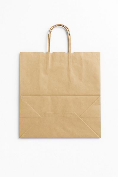 esdekor Handle Included 44X33,5Cm Cardboard Bag Shopping Bag 1 Piece