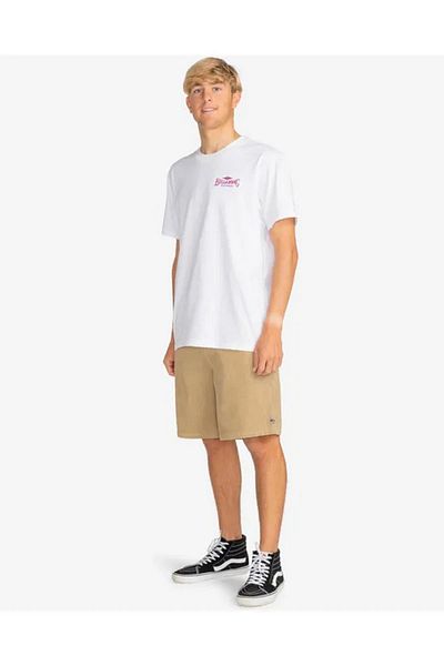 BİLLABONG Billabong EBYZT00170 Dreamy Place Men's T-Shirt