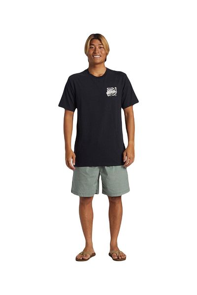 Quiksilver Aqyzt09540 Hurricane or Hippie Moe Mens T-Shirt