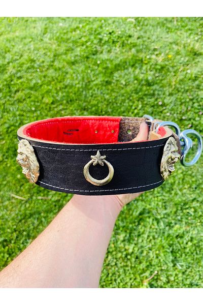 Sürmeli Tasma Kangal Dog Collar Genuine 1St Grade Buffalo Leather 5 cm Width