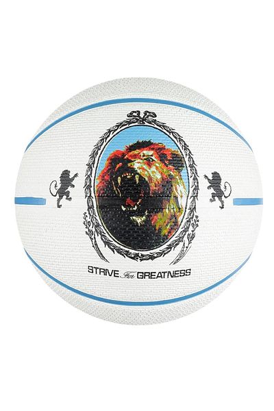 Nike Playground 2.0 8p L James - Αναπνευσμένη μπάλα μπάσκετ Unisex
