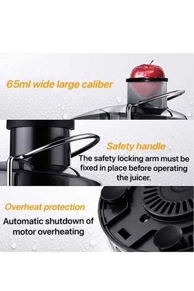 Denx Cold press fruit/vegetable juicer with high productivity