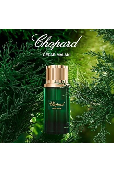 Chopard Eau de Parfum Cedar Malaki - 80 ml (Unisex)