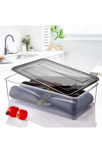 NY HOME 4 Lt Storage Container That Can Be Used in the Deep Freezer 1 Piece