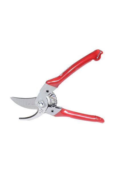 APALI Vineyard Shears Abm 03 Tree Pruning Shears