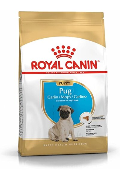 Royal Canin Junior Pug Kuru Köpek Maması, Yavru Köpek, 1.5 Kg