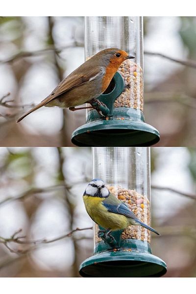 Fish & Paws Bird Feeders and Food Boxes