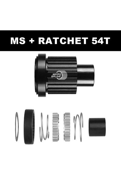 WALGUN Ratchet 54T-MS Bike HG XD Micro Spline MTB Road Freehub Kit Ratchet Exp Ratchet System 11 12 Speed F