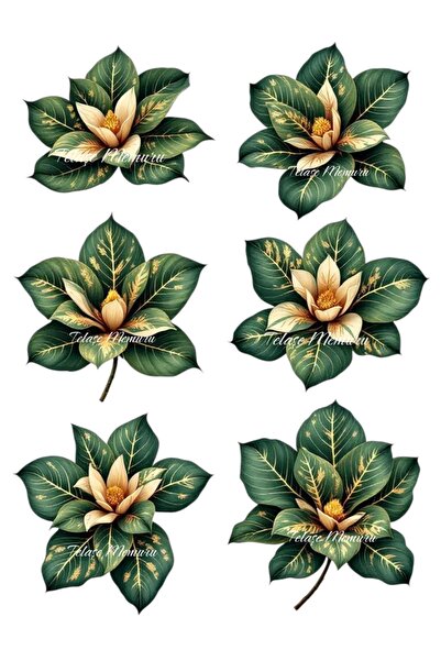telaşe memuru Edible Flower Cake Topper - Magnolia Edible Paper Cake Topper -...
