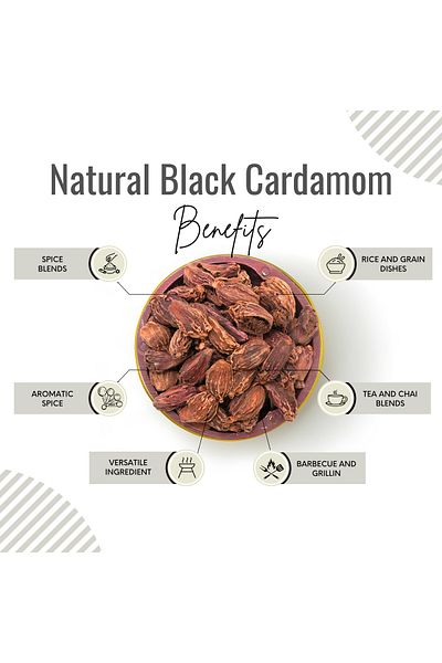 AWAFI MILL Whole Black Cardamom Seeds | Amomum subulatum - Bottle of 100 gram / 3.5 Oz
