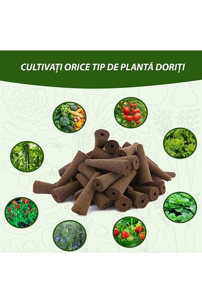 Regal Bliss Set 12 bureți Regal Bliss® pentru creștere plante, hidroponici, capsule ghiveci, fără sol