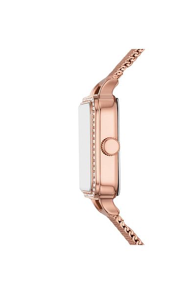 Fossil Fbq3971 Women's Wristwatch